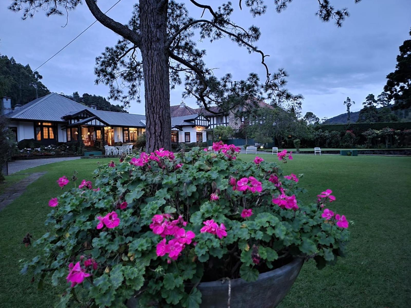 Hill Cottage Nuwara Eliya Exterior photo