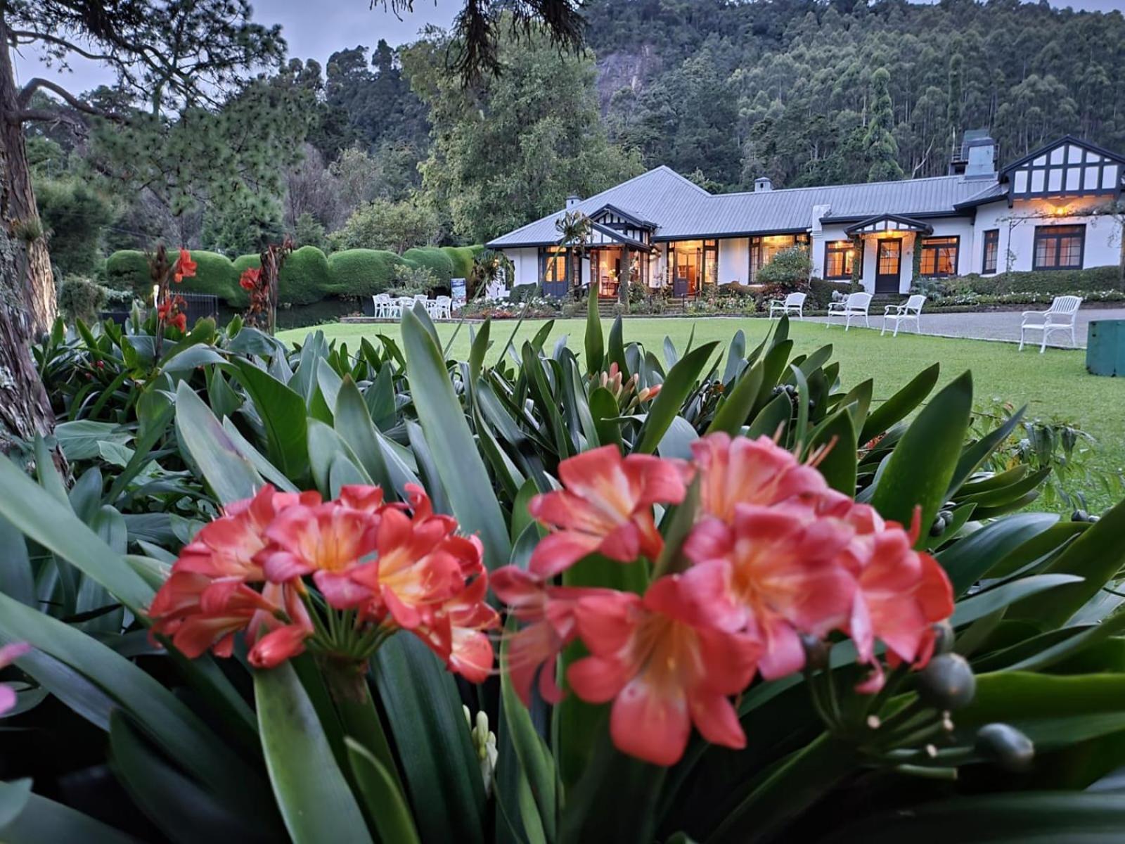 Hill Cottage Nuwara Eliya Exterior photo